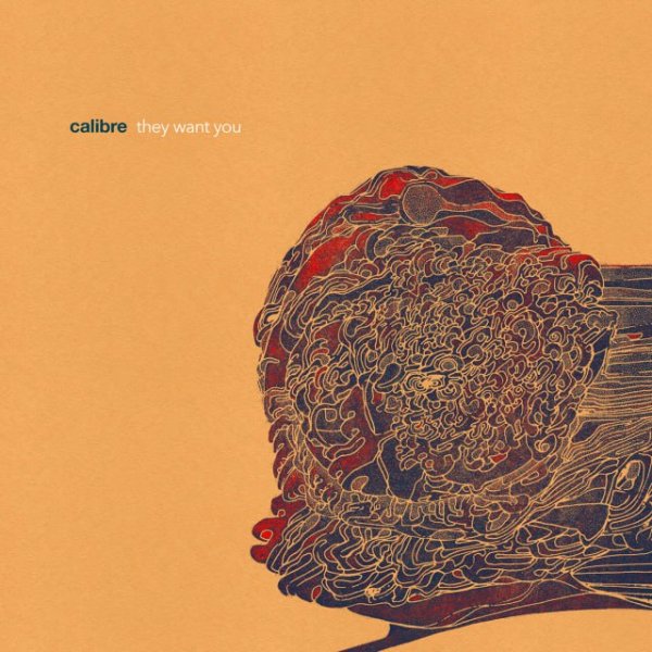 Calibre - don't feel for me