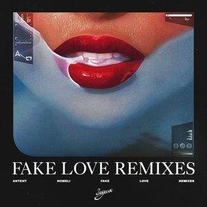 Antent, Nomeli - Fake Love (Anndrri Remix)