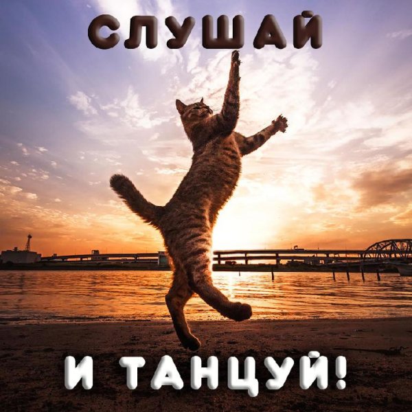 Black Fox - Ai Se Eu Te Pego (Ayur Tsyrenov Remix)