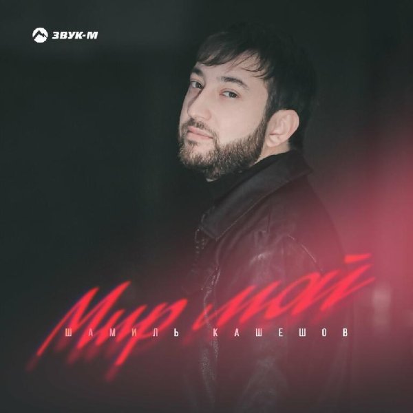 Шамиль Кашешов - Мир Мой