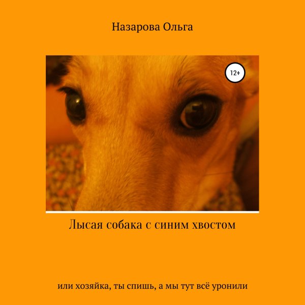 Назарова Ольга - Глава 4. Идеальная собака