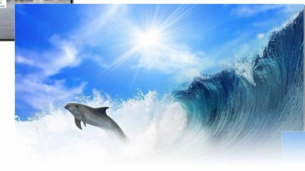 Ангел А - Все дельфины в ураган