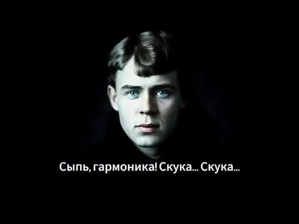 СДП - Сыпь Гармоника