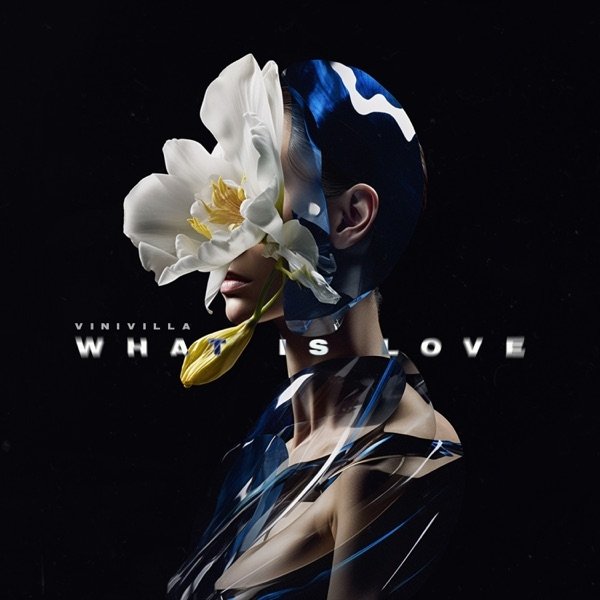 Vinivilla - What Is Love