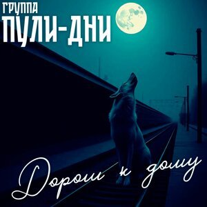 Группа Пули-Дни - Вор в законе
