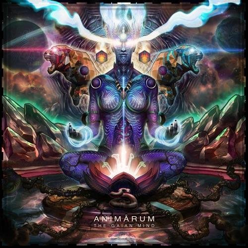 Animårum - Cura