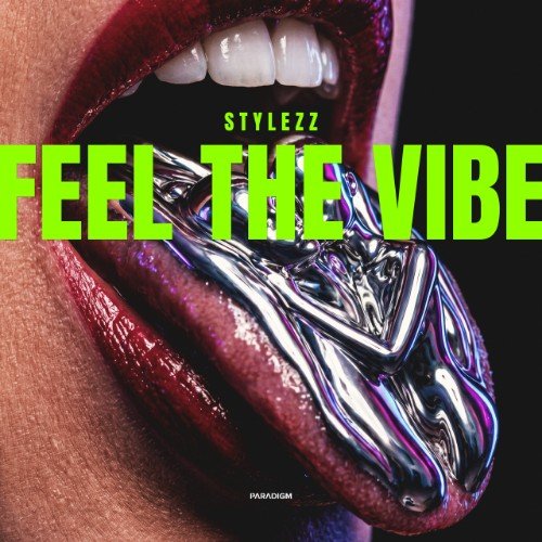 Stylezz - Feel the vibe