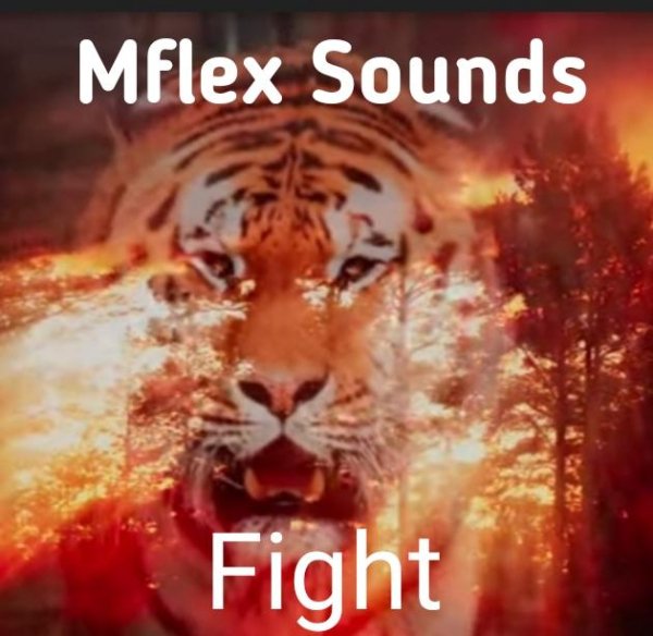 Mflex Sounds - Fight (NRG Italo Disco 2022)