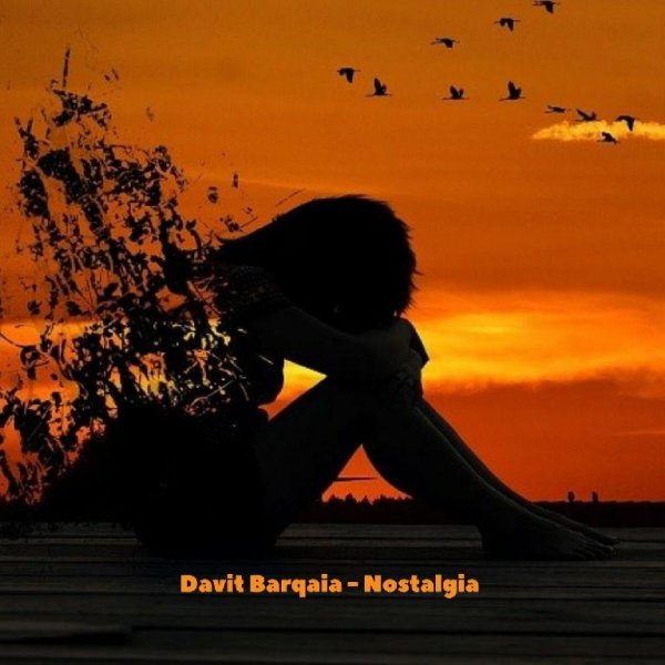 Davit Barqaia - Nostalgia