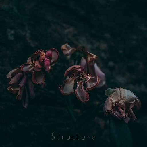 Structure - And They Remembered