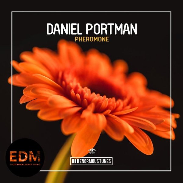 Daniel Portman - Pheromone (Extended Mix)
