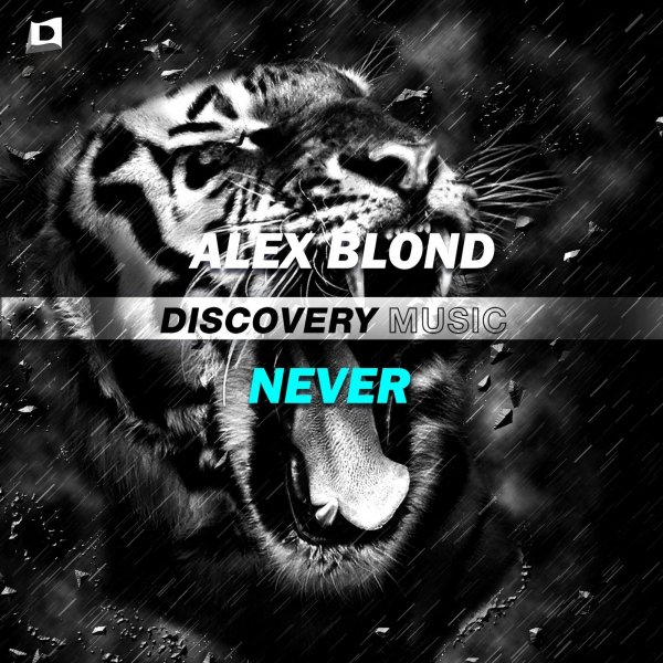 Alex Blond (ITA) - Never (Original Mix)