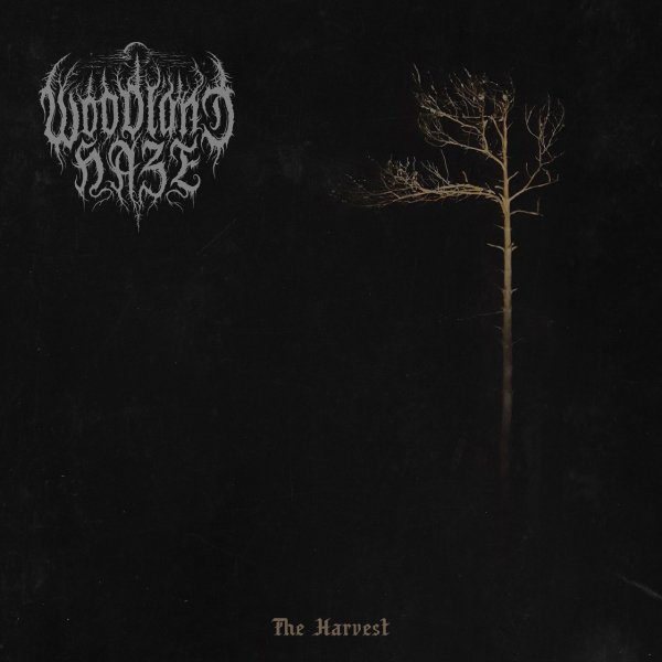 Woodland Haze - Hollow Ground