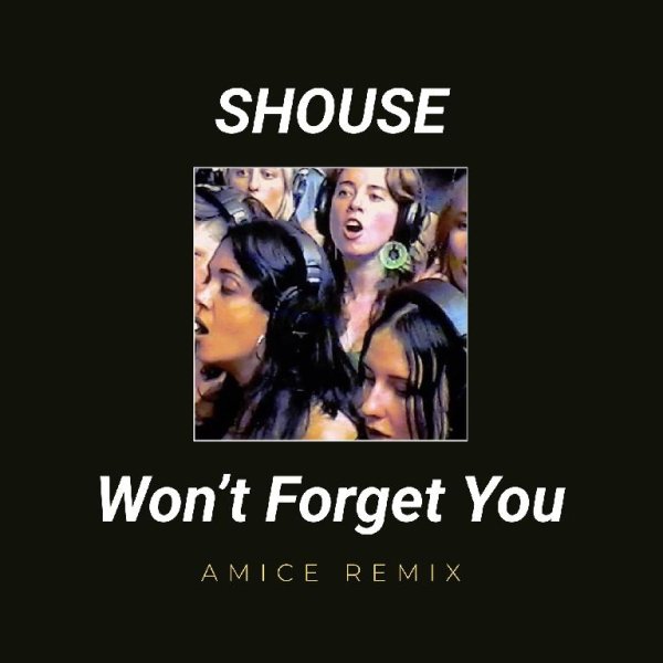 Shouse, Amice - Won't Forget You
