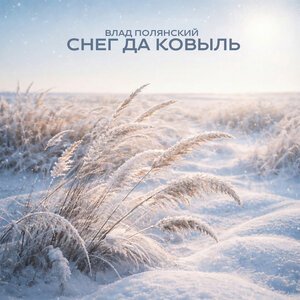 Влад Полянский - Снег да ковыль
