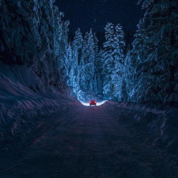 Ёлка - Праздник к нам приходит (2015)