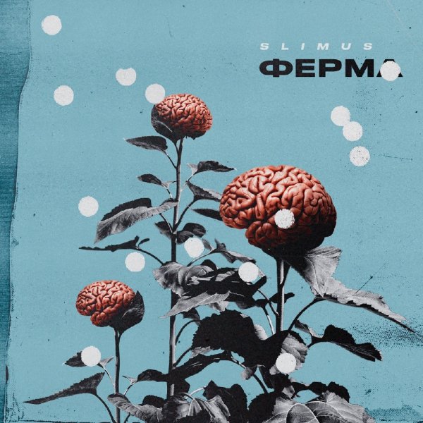 SLIMUS - Аврора