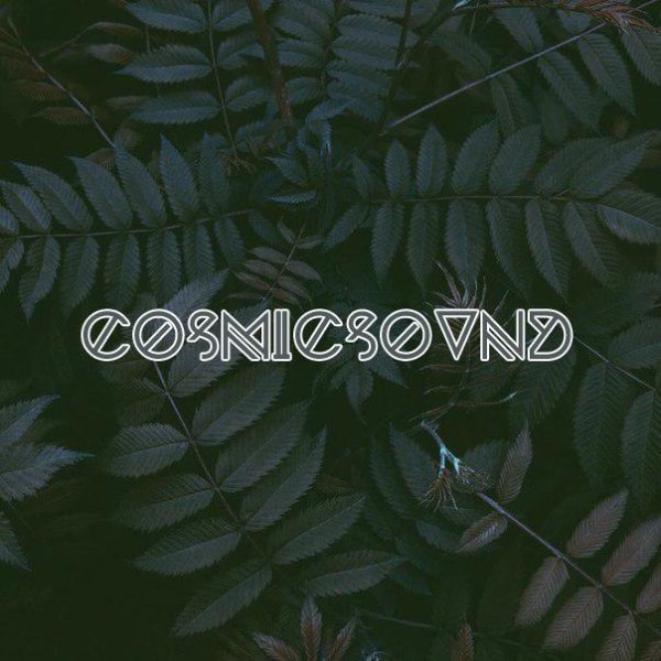 COSMICSOUND - Flowers