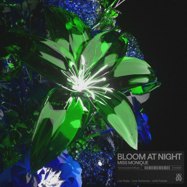Miss Monique - Bloom At Night