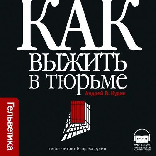 Андрей В. Кудин - Как выжить в тюр 7. Как работает оперативная часть