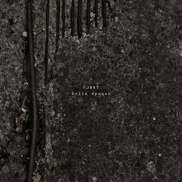 FJØRT - nacht