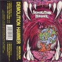 Demolition Hammer - Neanderthal
