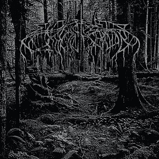 Wolves In The Throne Room - Queen Of The Borrowed Light