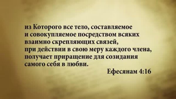 Стих дня. 13 сентября. Ефесянам 4:16. - Stih_dnya. 13_sentyabrya. Efesyanam_4_16.