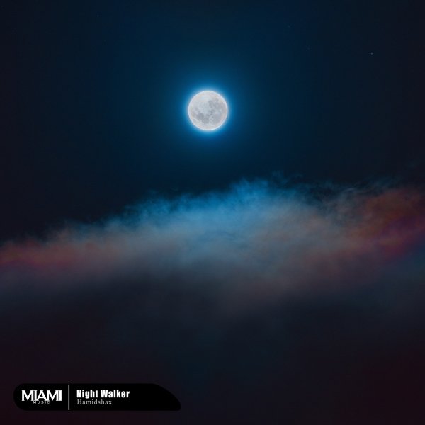 Hamidshax - Night Walker (Original Mix)