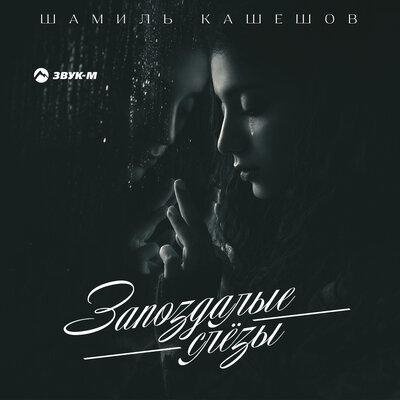Шамиль Кашешов - Запоздалые слёзы