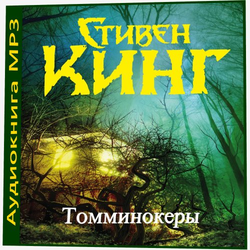 Кинг Стивен (Панкрашкин Андрей) - Томминокеры 1