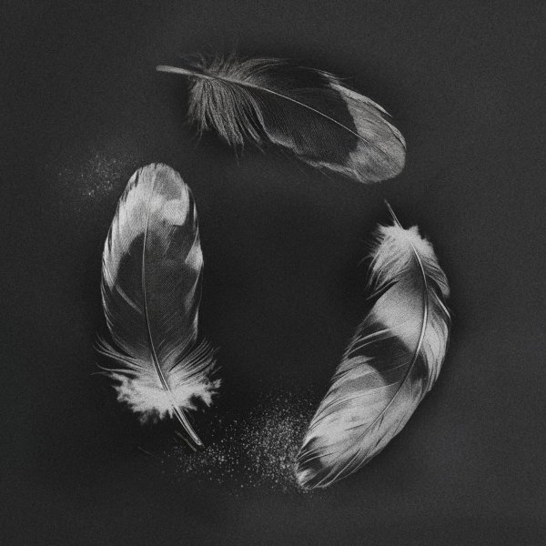 SLANDER, NGHTMRE &amp; ZOHARA - Free