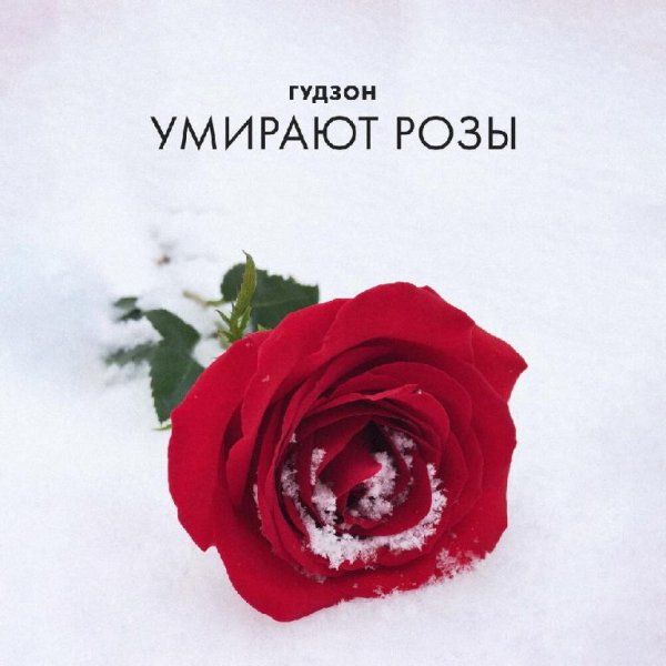 ГУДЗОН - Умирают Розы (Vostokov Remix)