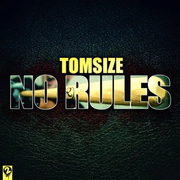 Tomsize - No Rules (Original Mix)