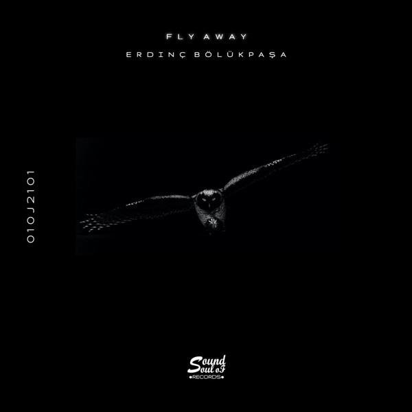 Erdinç Bölükpaşa - Fly Away (DEEP ONE radio edit)