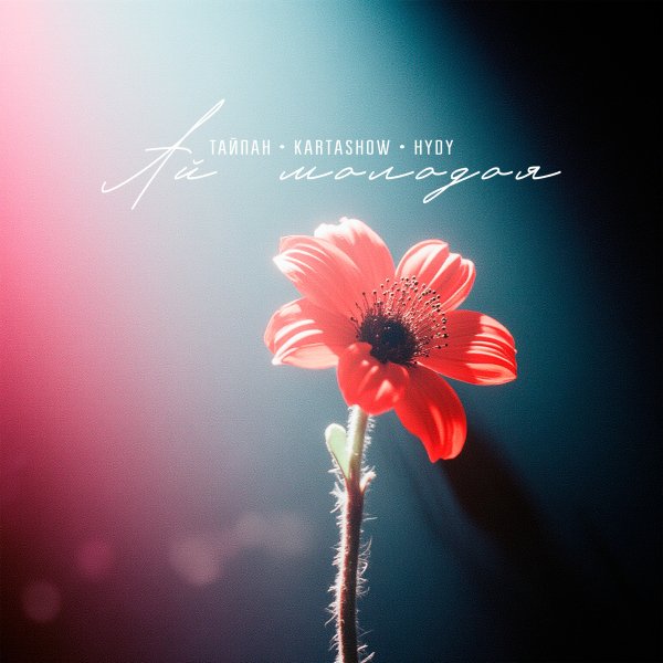 Тайпан, KARTASHOW, HYDY - Ай, молодая [2025]