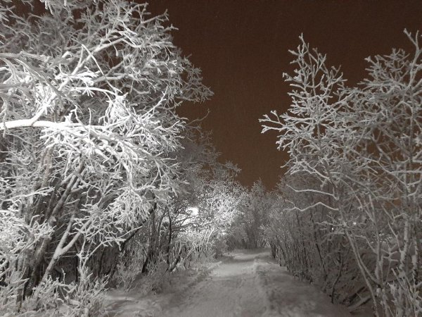 гр. Бумер - Северные ветры
