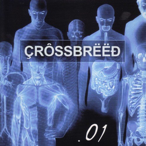 Crossbreed - Regretful Times