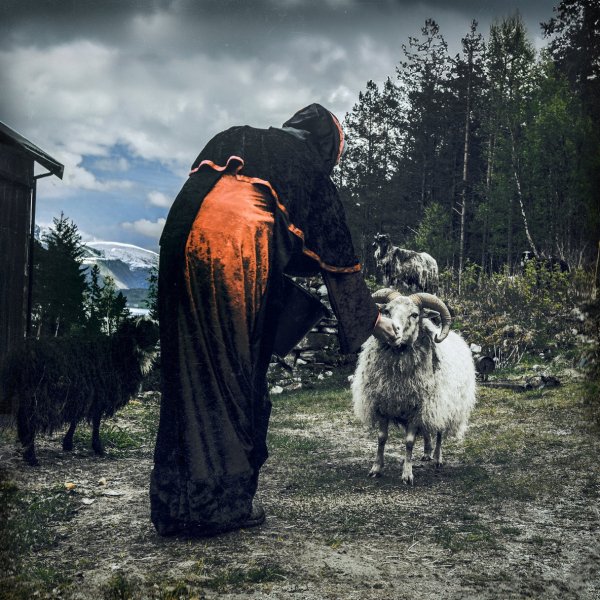 Slagmaur - Warlok