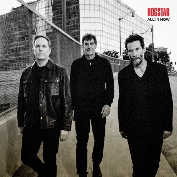 DOGSTAR - Wing