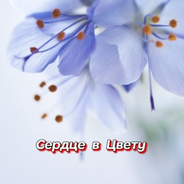 Гравитация - Только для себя