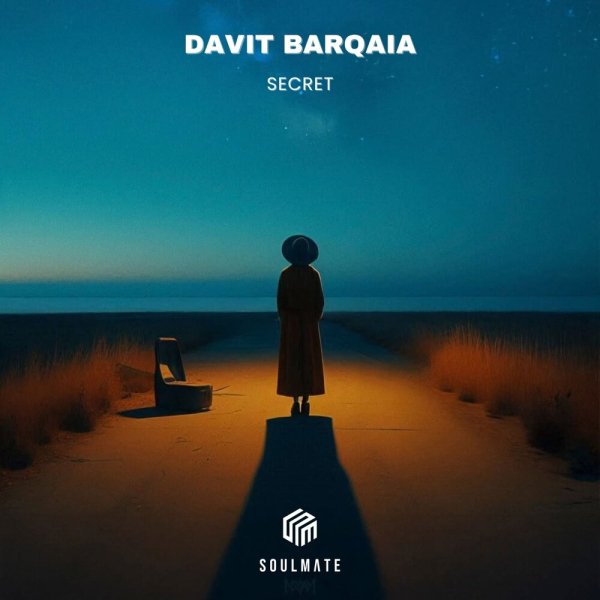 Davit Barqaia - Secret