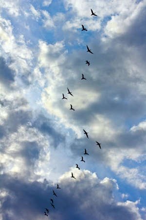 Passacaglia - Beautiful Life