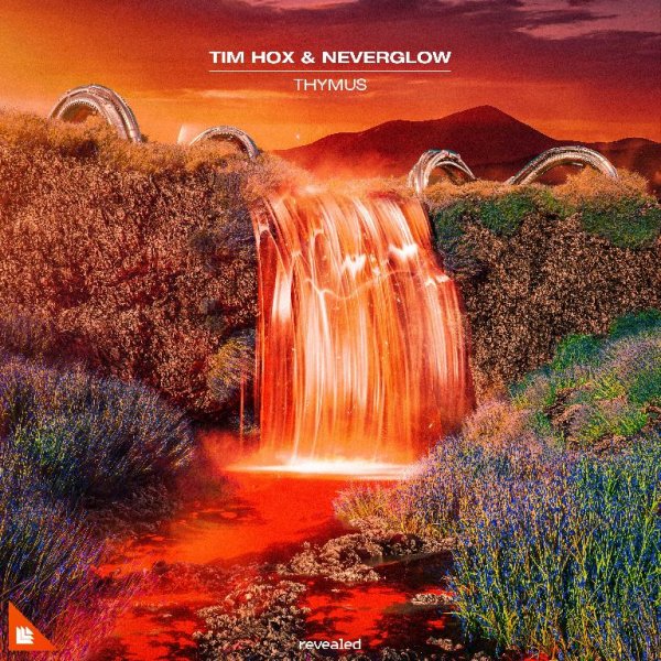 Tim Hox &amp; NEVERGLOW - Thymus (Extended Mix)