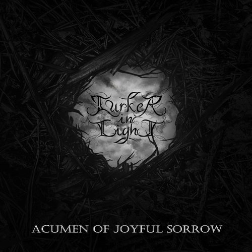 Lurker In Light - Defaced