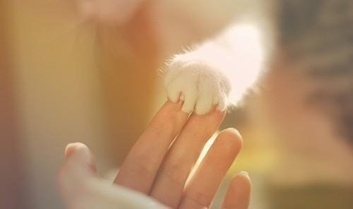 Dubky - Не Любиш (LamBit Music Edit)