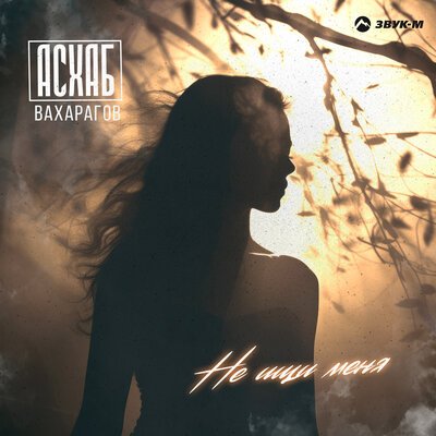 Асхаб Вахарагов - Не Ищи Меня