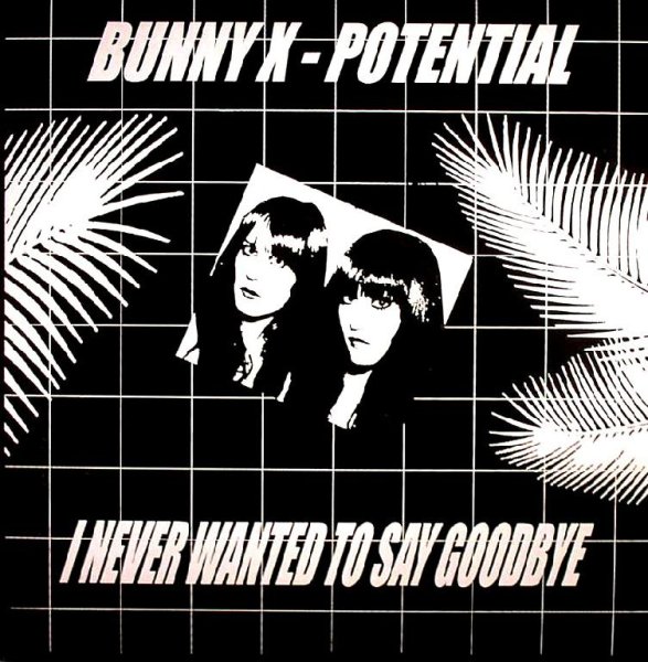 Bunny X - I Never Wanted To Say Goodbye