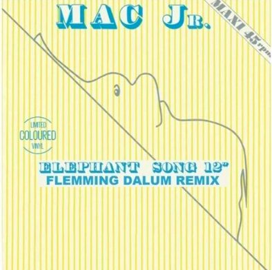 Mac Jr. - Elephant Song (Flemming Dalum Remix)