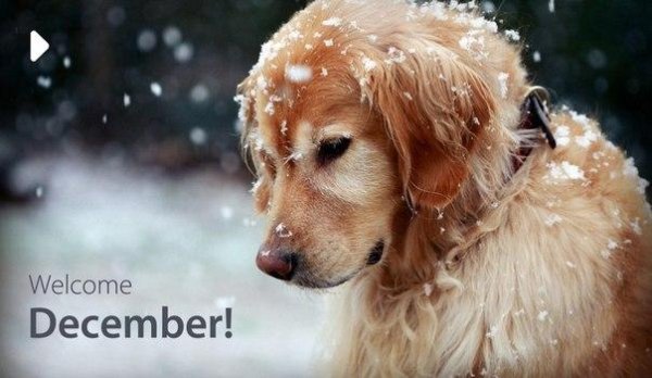 Ольга Горбачева - Снег